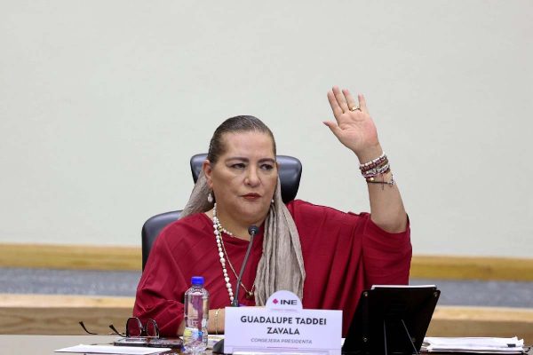 INE Guadalupe Taddei validez elección judicial