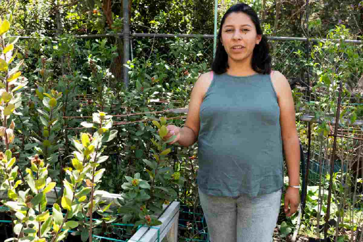 La bióloga Evelyn Muñoz es parte del equipo que reproduce plantas nativas en el vivero del Jardín Botánico de la UNAM.