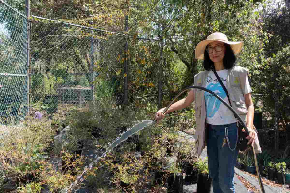 La bióloga Ivonne Olalde busca propagar la presencia de las plantas nativas en la Ciudad de México