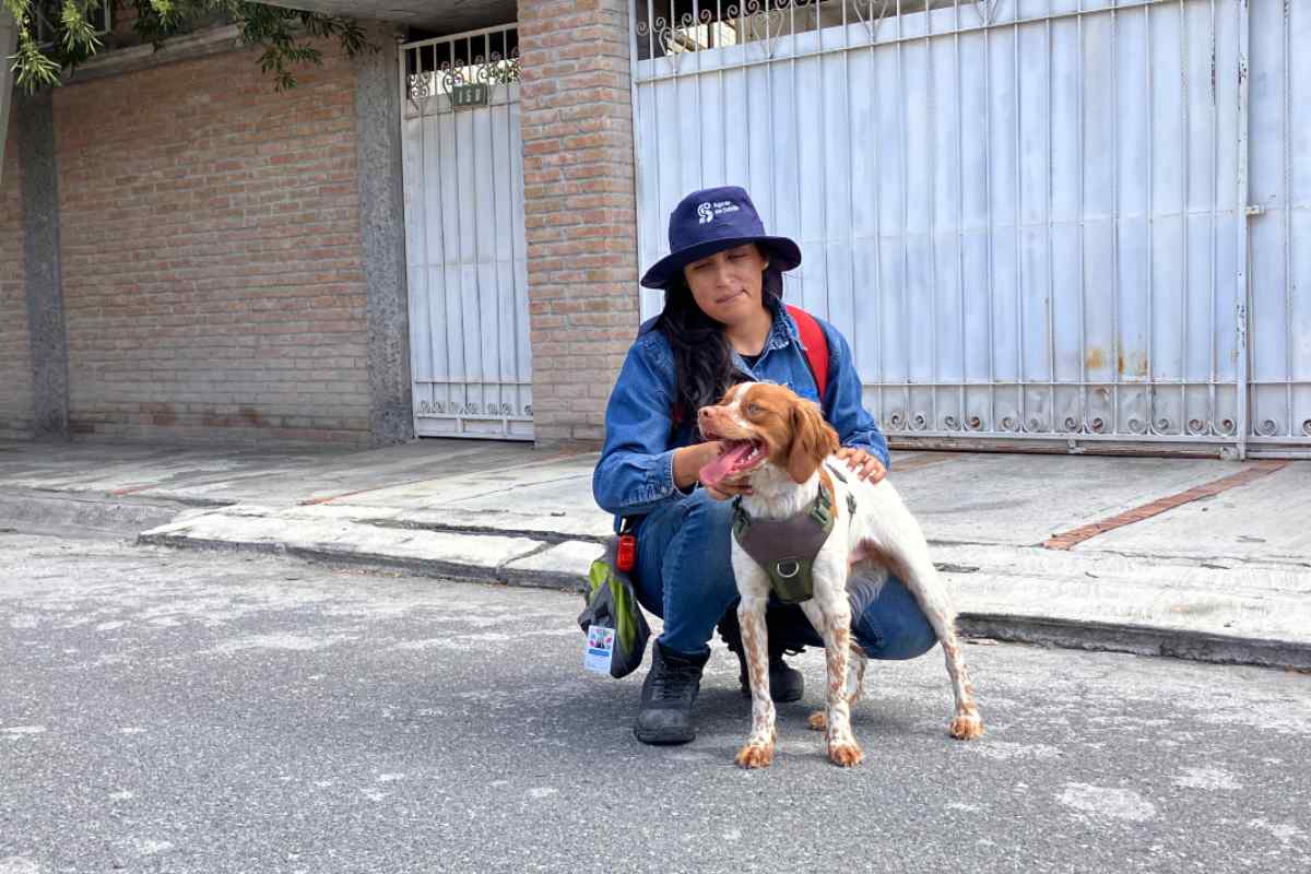 Manchas