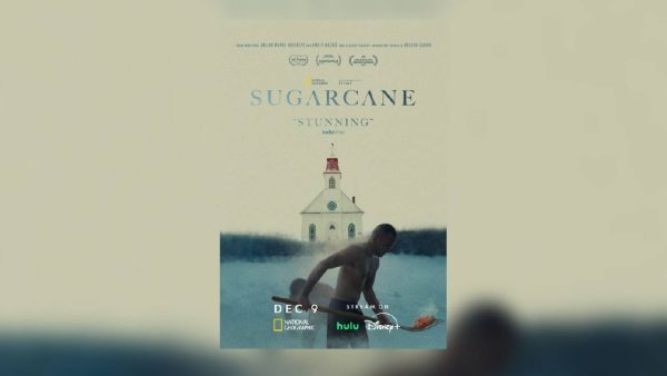 Sugarcane 