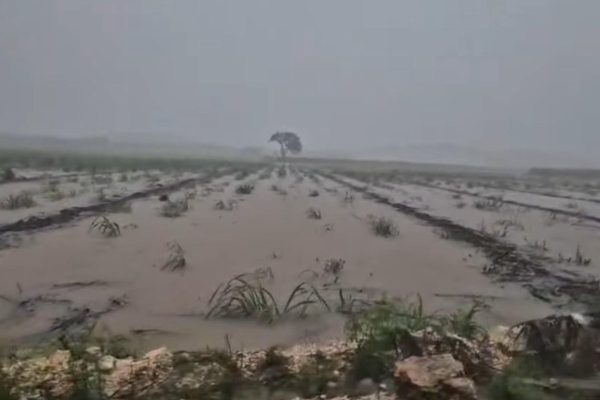 Sur de Quintana Roo colapsa con la Onda Tropical Siete, más de 20 comunidades afectadas
