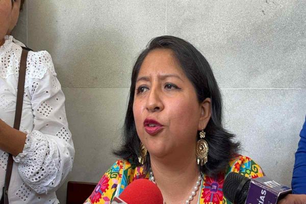 Tras caída de sistema en Elección Judicial de Veracruz, candidata pide no empezar conteo desde cero
