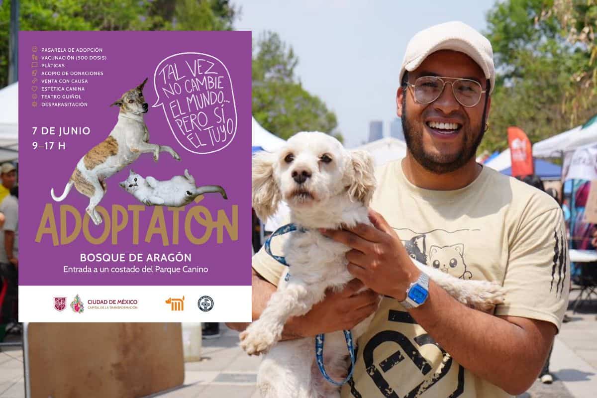 adoptaton junio 2025