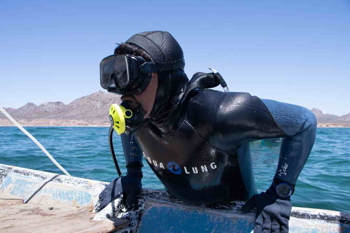 callo de hacha bahía kino Cooperativa Jóvenes Ecopescadores