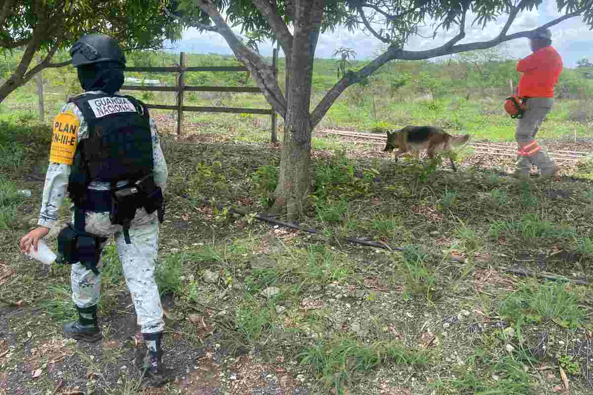 chiapas fosas clandestinas ranchos narco desaparecidos rancho las pitayas