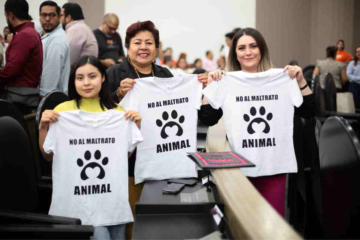 Chiapas endurece castigos por maltrato animal con multas y cárcel hasta por 5 años