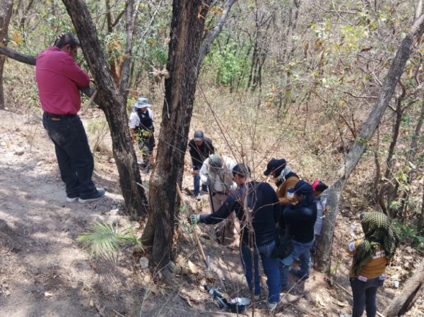 chilpancingo-busqueda