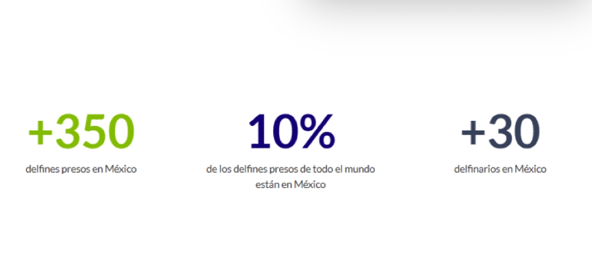 Ley Mincho