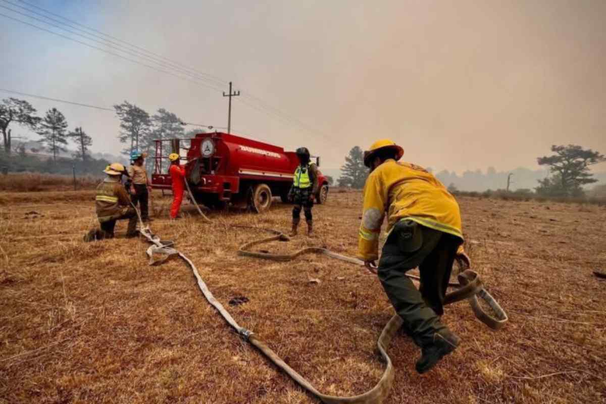 A nivel mundial el daño de los incendios ocurrió en 6.7 millones de hectáreas de bosque tropical primario. Foto: Semadet Jalisco