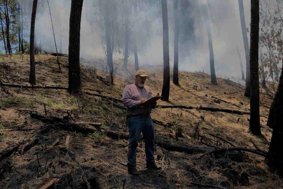 Enrique Jardel, especialista en ecología y manejo del fuego, coincide en que el cambio climático, pero principalmente las actividades humanas, transforman el paisaje. Foto: cortesía Enrique Jardel