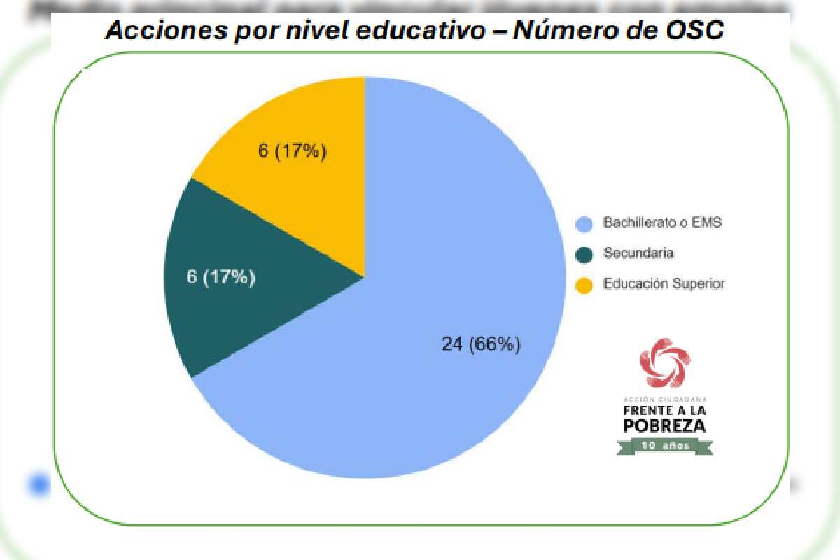 gráfica 6