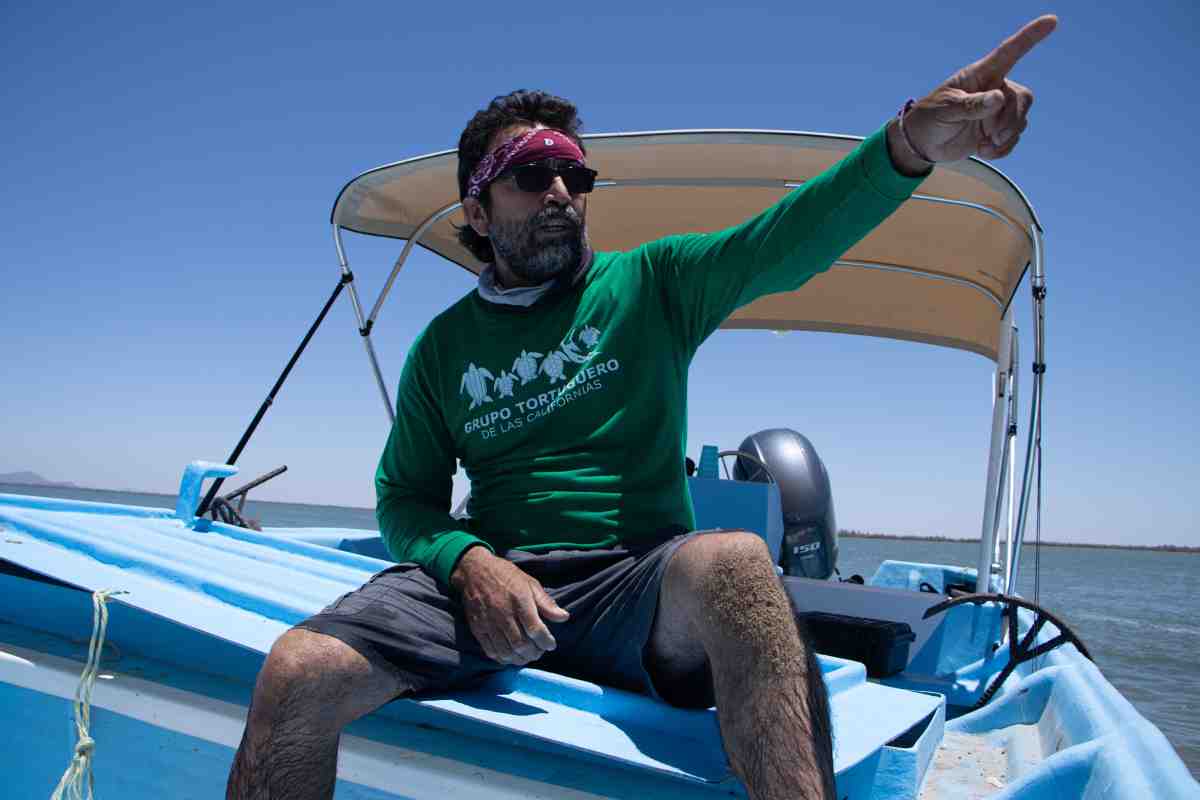 llanto tortugas película Cosme cuidado Bahía Kino