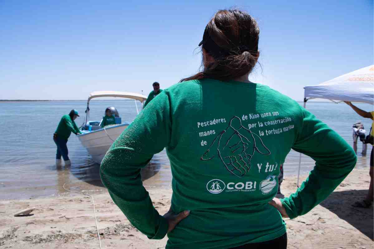 llanto tortugas película Cosme cuidado Bahía Kino
