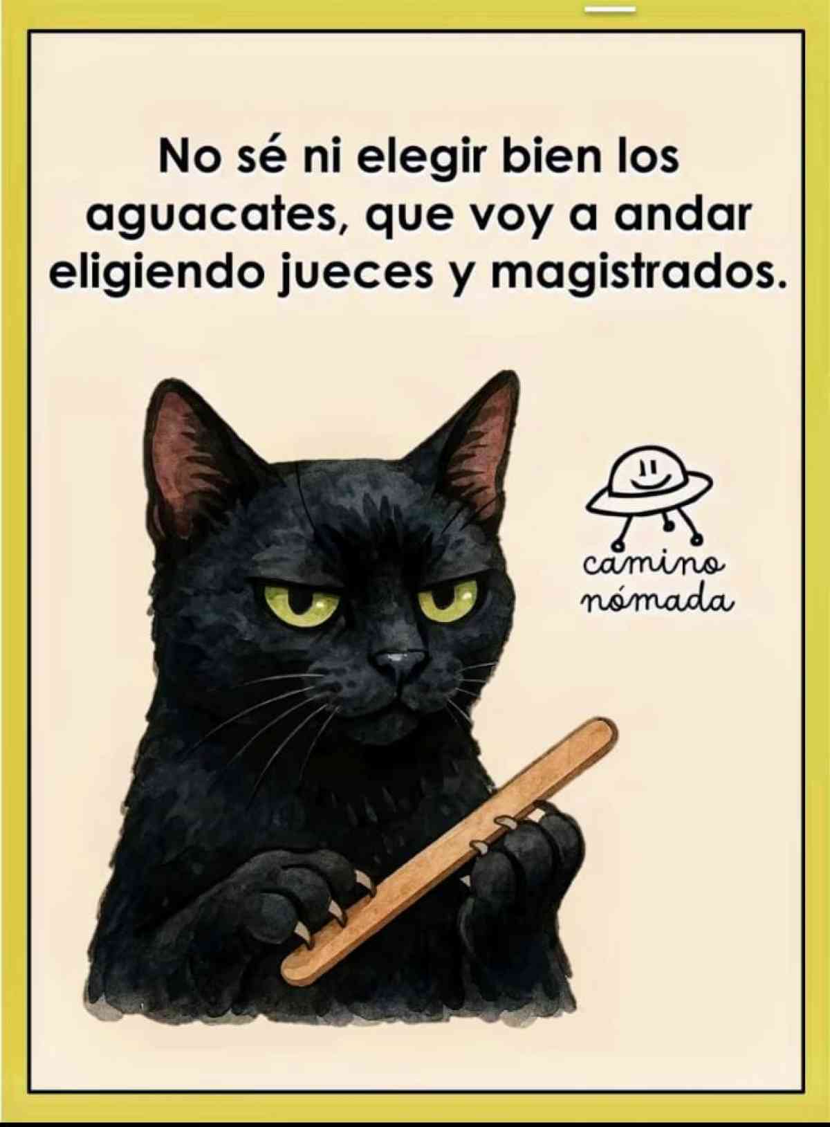 memes elección judicial