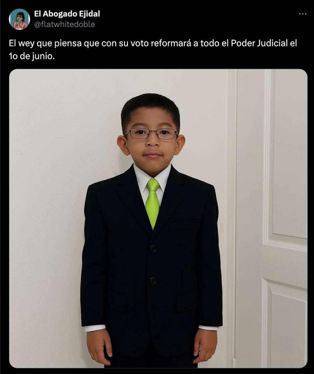 elección judicial memes