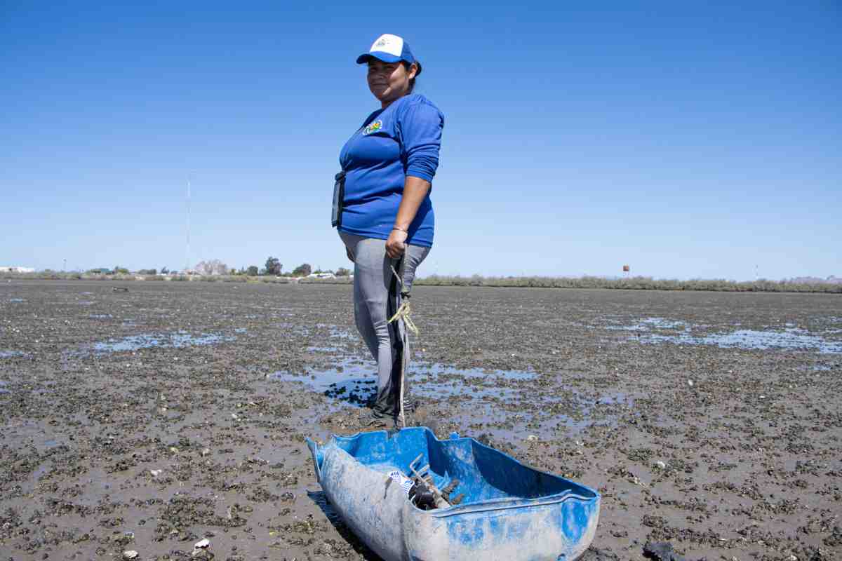 mujeres mar cortes conservación tortugas almejas bahía Kino 
