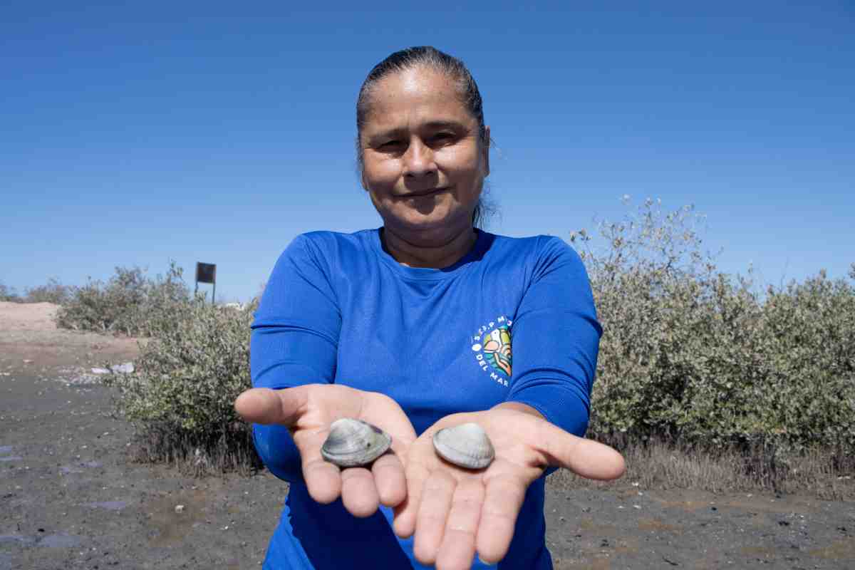 mujeres mar cortes conservación tortugas almejas bahía Kino 