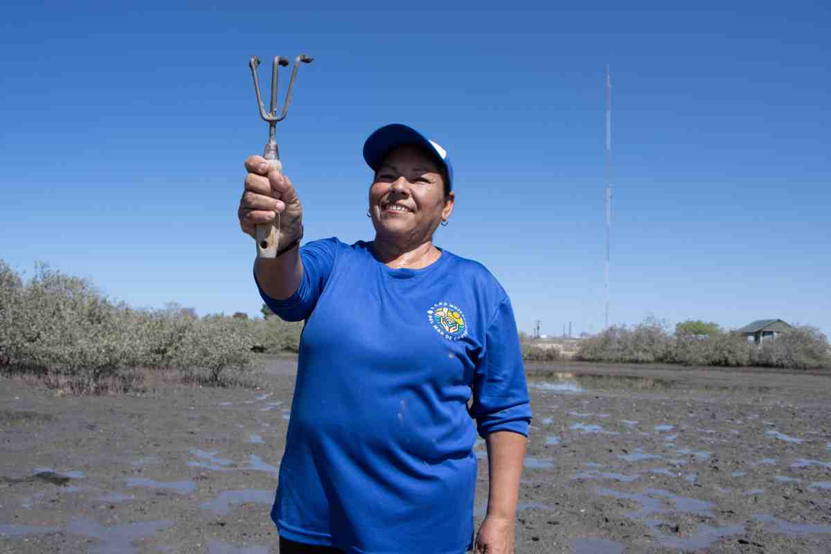 mujeres mar cortes conservación tortugas almejas bahía Kino 