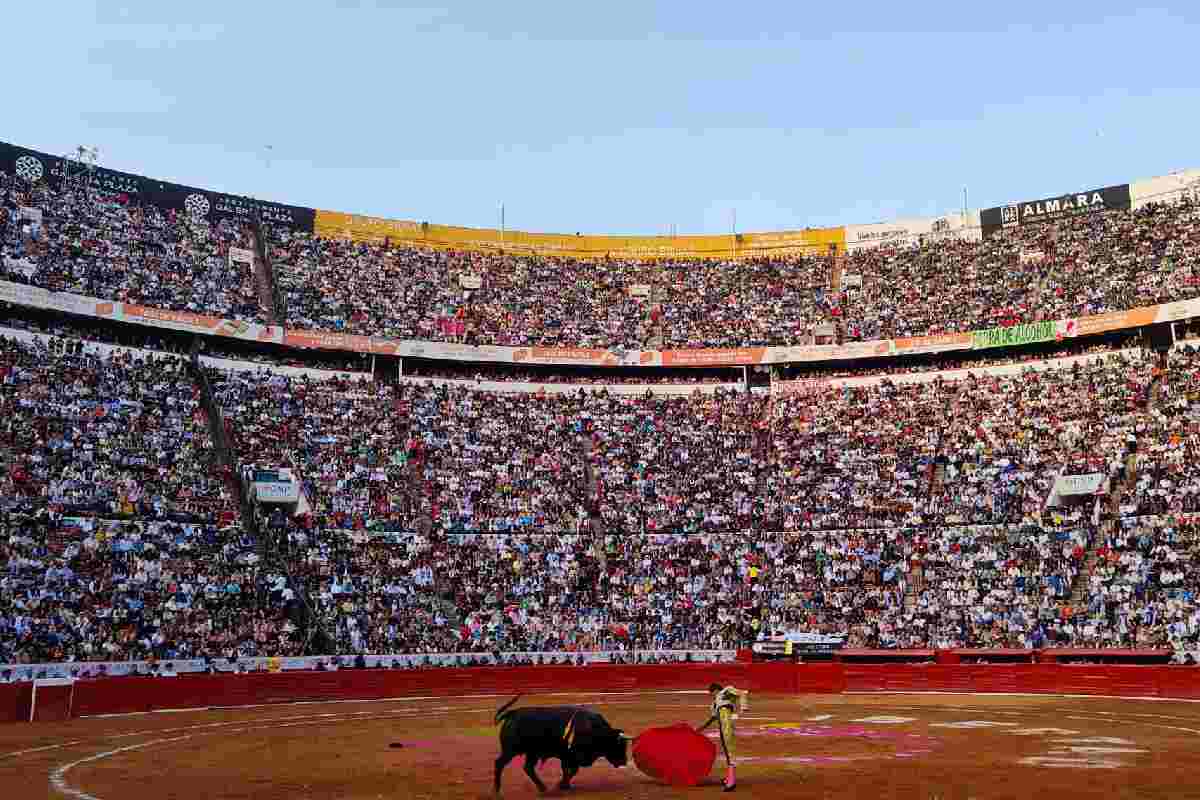 Plaza México ve “inviable” celebrar corridas de toros sin violencia