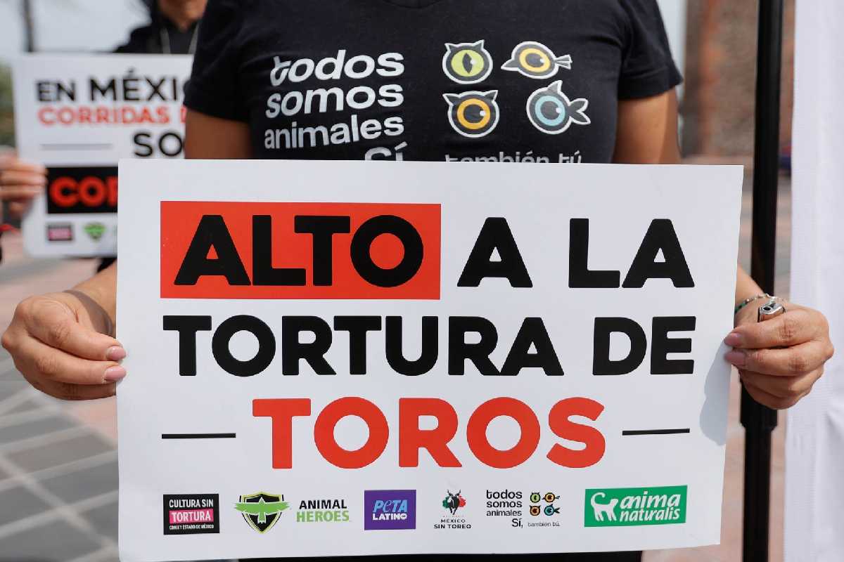 Plaza México ve “inviable” celebrar corridas de toros sin violencia