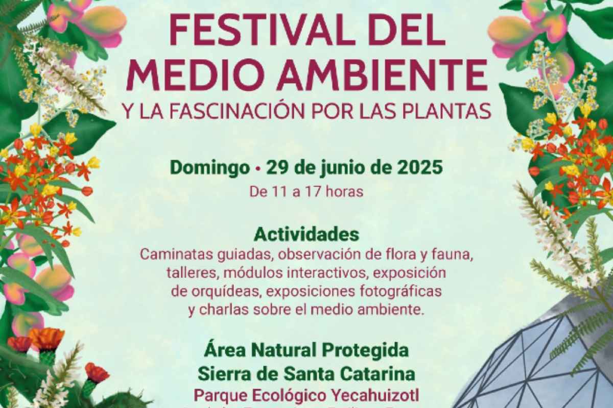 Festival del medio ambiente