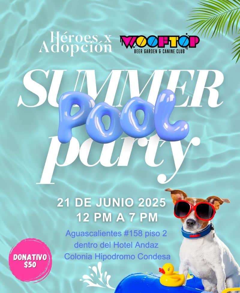 summer pool party perros cdmx