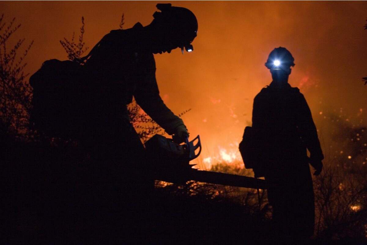 El 66 % de la superficie forestal impactada por el fuego en 2024 se dio en ecosistemas adaptados al fuego, de acuerdo con Conafor. Foto: Gobierno de México