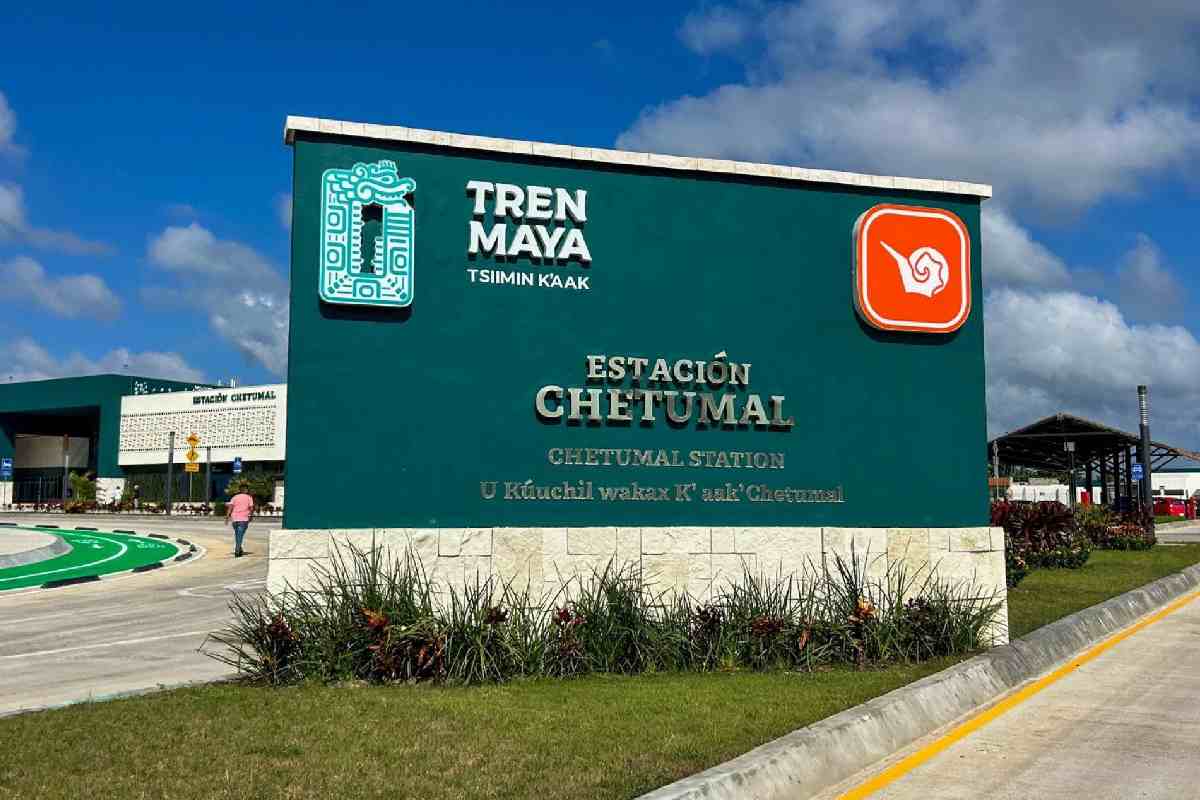 Sheinbaum caso Koldo tren maya