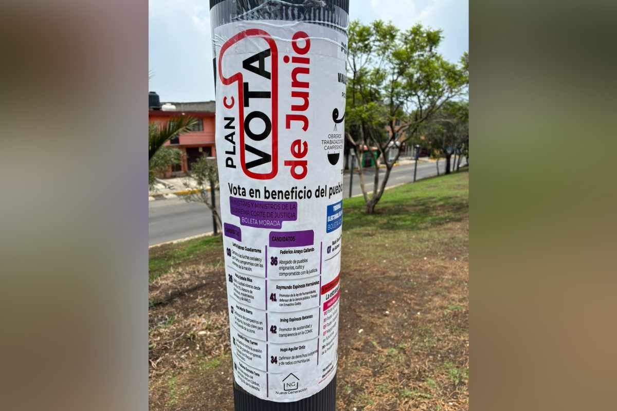 Acordeón pegado en las calles durante la elección judicial