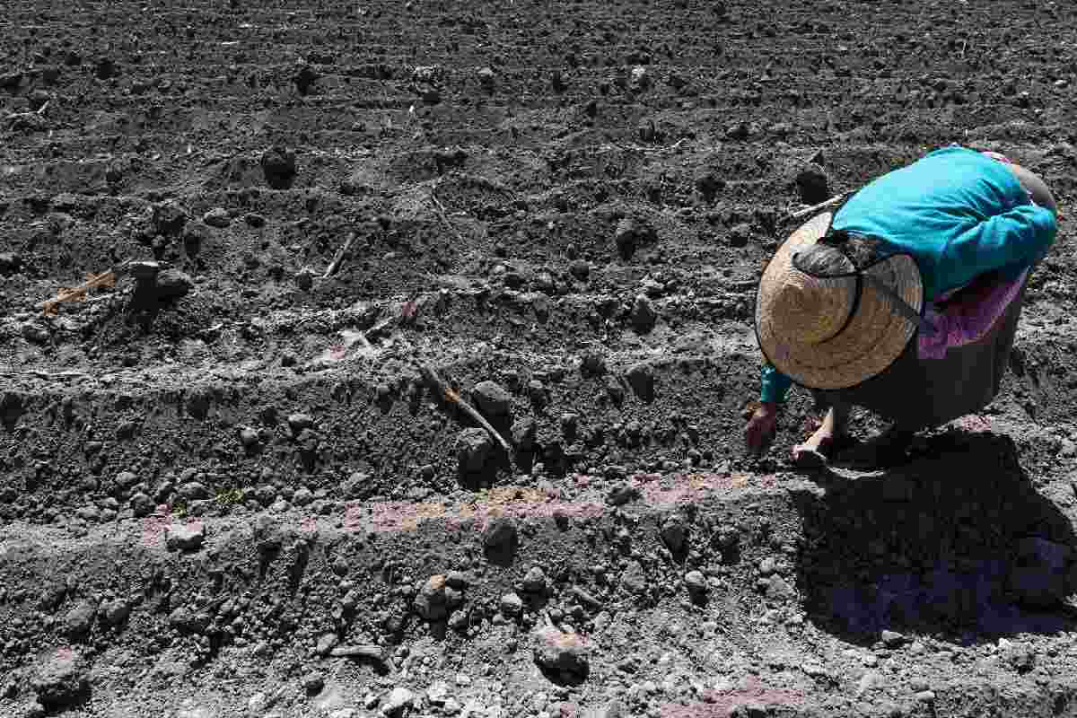 Agricultores aseguran que fechas para la siembra han ido variando con el tiempo y esto se lo atribuyen al cambio climático