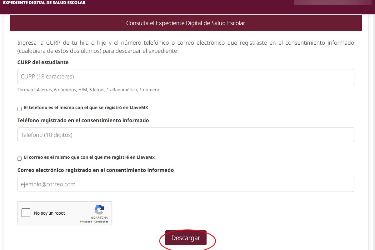 Datos que te pedirá la página para descargar el expediente digital de salud escolar