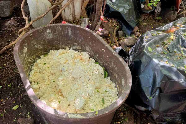 Decomisan casi una tonelada de metanfetamina y precursores en Culiacán, Sinaloa, con valor de 143 millones de pesos