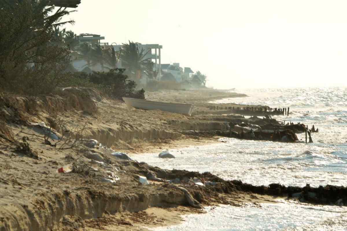 Dzilam de Bravo dunas costeras 4