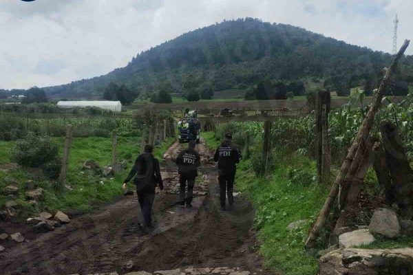 Elementos de la Fiscalía realizando labores de búsqueda en el Ajusco para encontrar a Amelí García