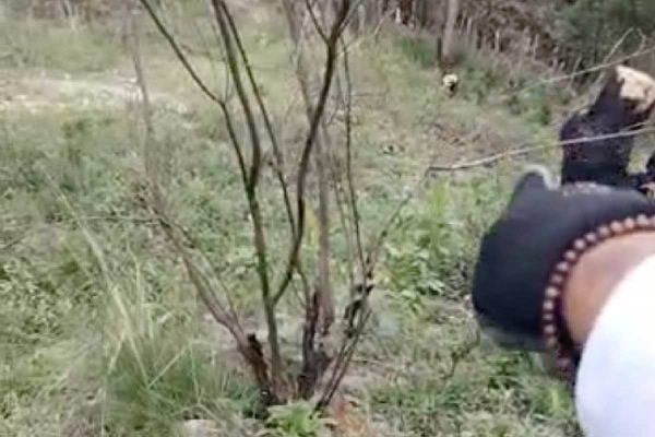 Guerreros Buscadores de Jalisco reporta hallazgo de “crematorio clandestino” en faldas del Cerro Cuauhtépetl