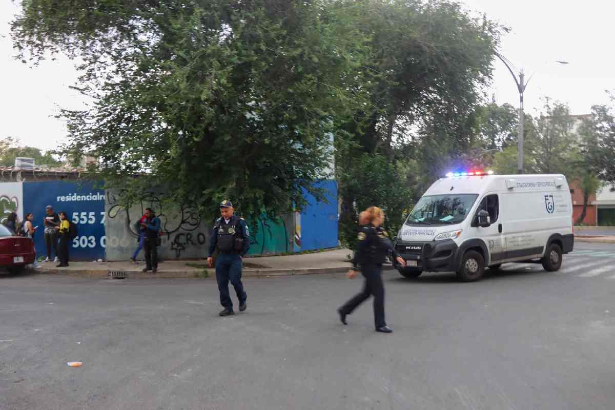 Hallan restos óseos en predio de Reforma