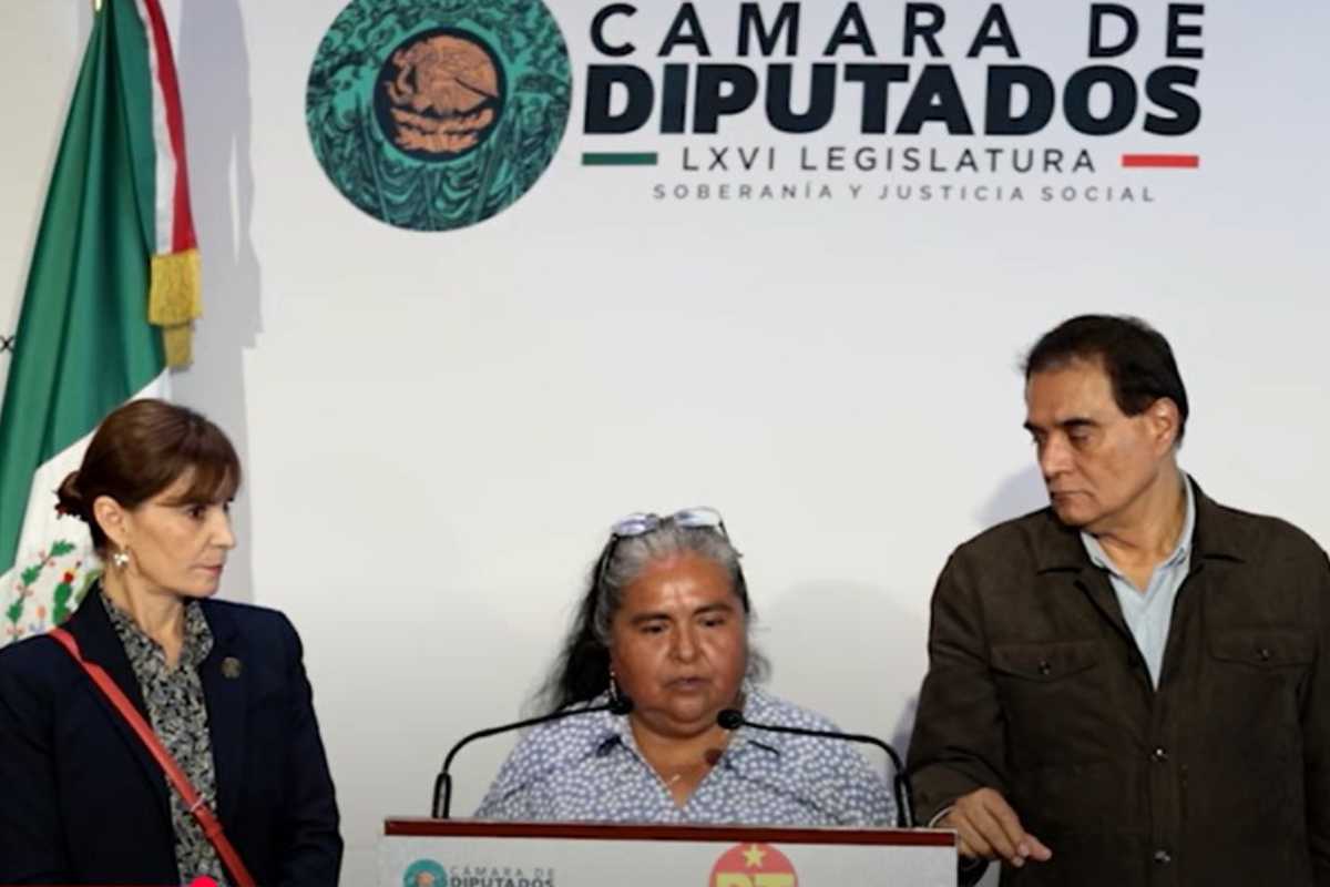 Inés Martínez presidenta municipal Zapotitlán Palmas violencia política género