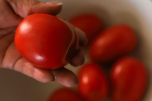 Productores de jitomate en Sinaloa competían con los de EU