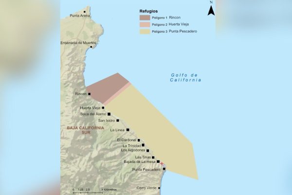 Propuesta de refugio pesquero en Boca del Álamo.