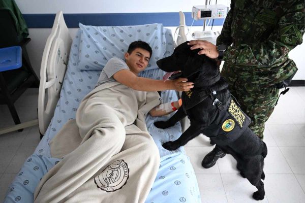 Rafa, uno de los perros terapeutas de soporte emocional en Colombia