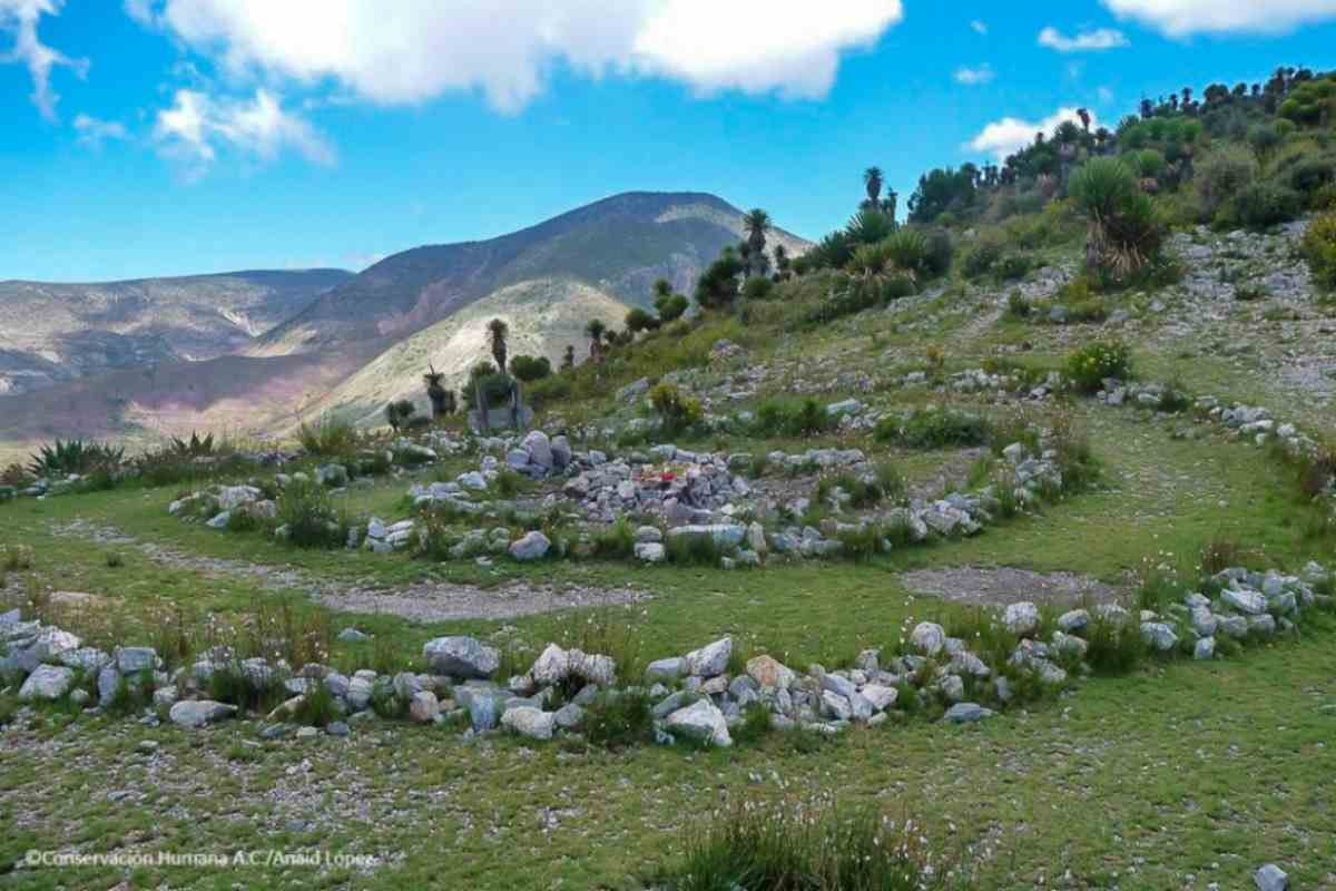 Ruta Wixárica UNESCO