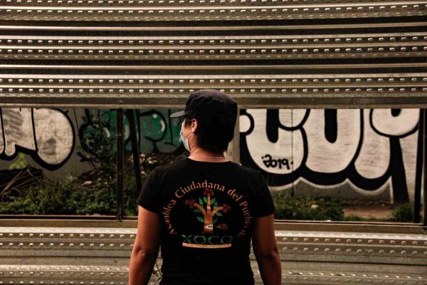 Vecinas denuncian tala de 100 árboles en Benito Juárez para construir centro comercial; frenan obras