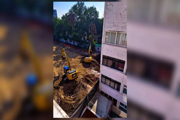 Vecinas denuncian tala de 100 árboles en Benito Juárez para construir centro comercial; frenan obras