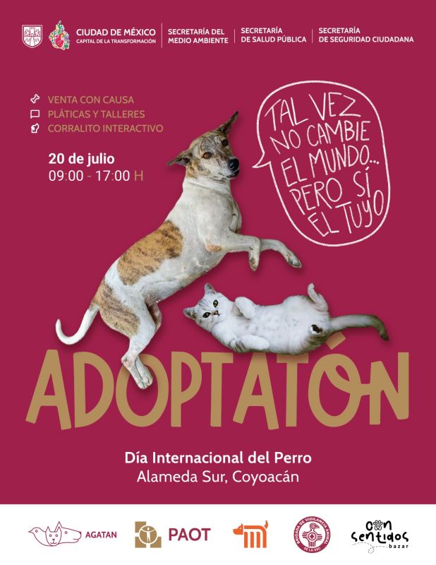 adoptaton julio 2025