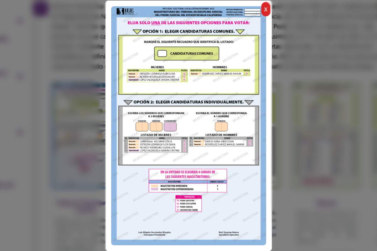 Boleta para la elección del Tribunal de Disciplina Judicial de Baja California. Fuente: IEEBC