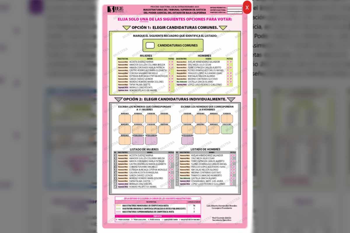 Boleta para la elección del Tribunal Superior de Justicia de Baja California. Fuente: IEEBC