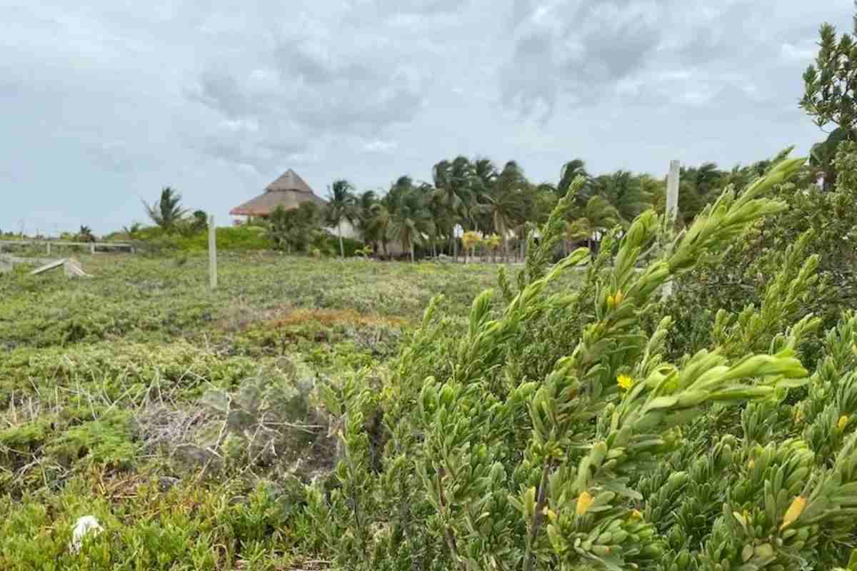 En San Bruno aún es posible hallar una importante duna costera. Fuente Itzel Chan.