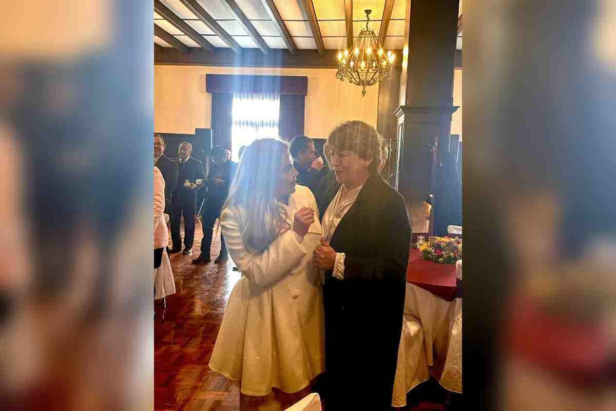 erika castillo vega delfina gomez grupo texcoco edomex candidatos electos poder judicial