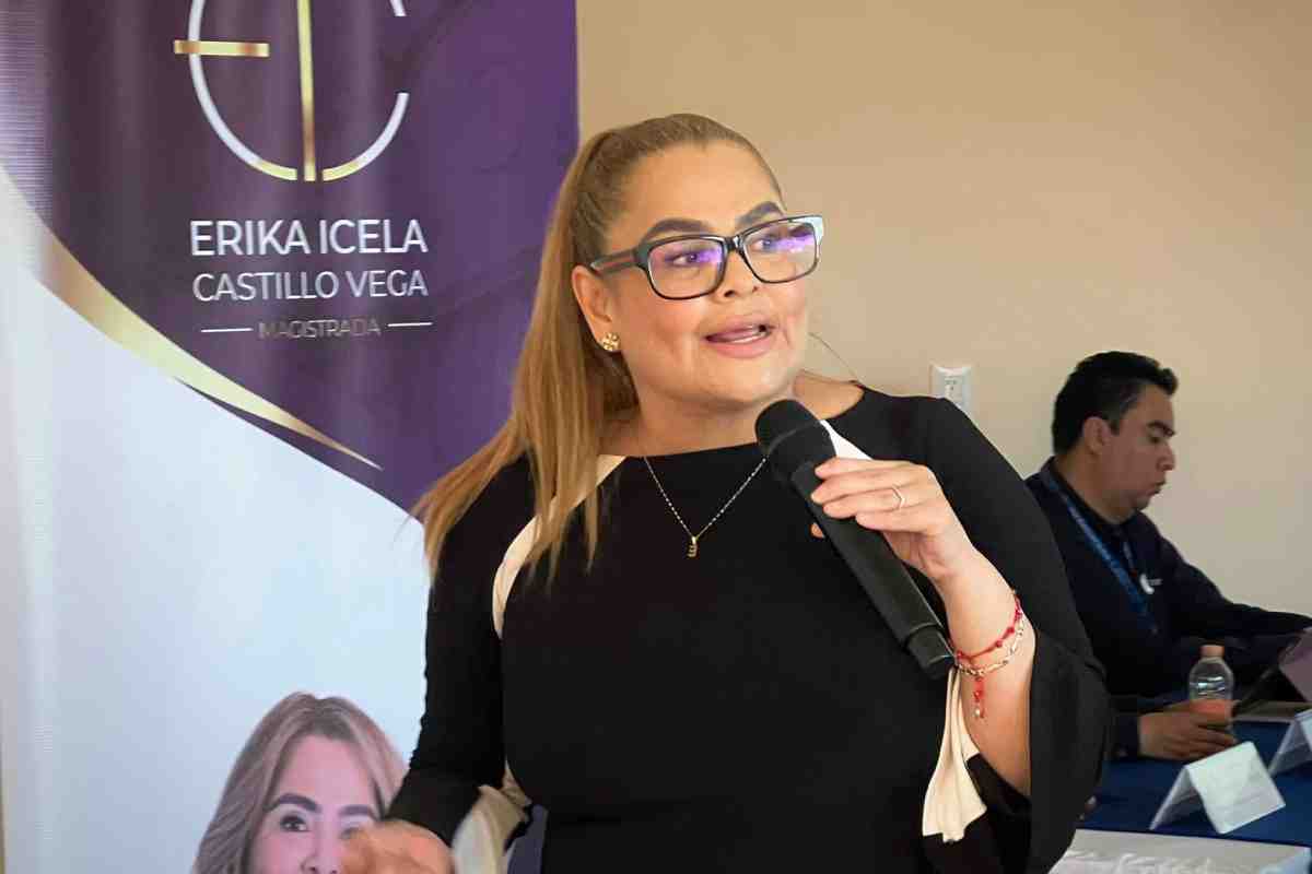 erika castillo vega delfina gomez grupo texcoco edomex candidatos electos poder judicial